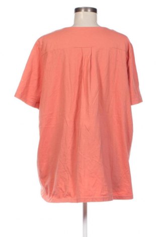 Γυναικεία μπλούζα GREEN COTTON, Μέγεθος XXL, Χρώμα Πορτοκαλί, Τιμή 14,11 €