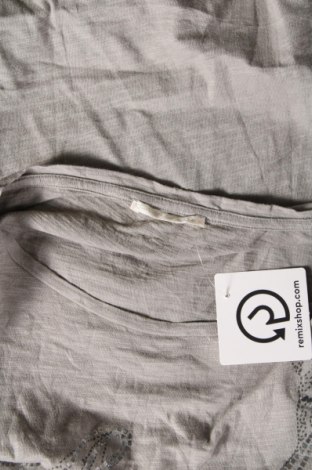 Γυναικεία μπλούζα Gas, Μέγεθος M, Χρώμα Γκρί, Τιμή 17,44 €