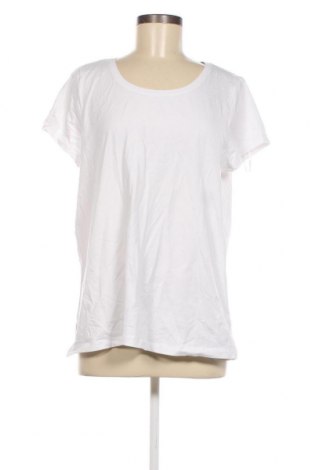 Γυναικεία μπλούζα Gina, Μέγεθος XXL, Χρώμα Λευκό, Τιμή 7,17 €