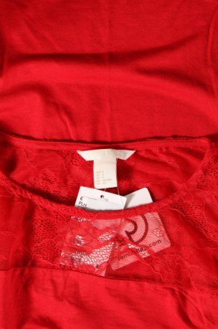 Γυναικεία μπλούζα H&M, Μέγεθος S, Χρώμα Κόκκινο, Τιμή 18,45 €
