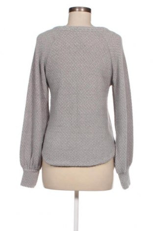 Damen Shirt Hollister, Größe XS, Farbe Grau, Preis 6,68 €