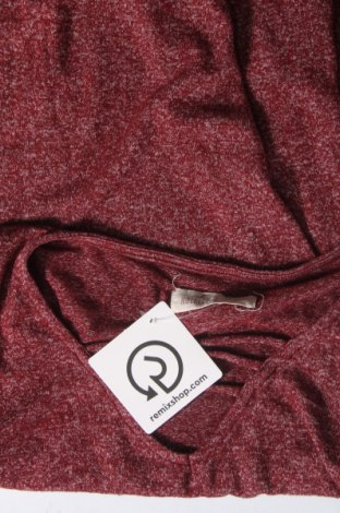 Damen Shirt Hollister, Größe S, Farbe Rot, Preis 12,23 €