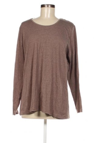 Γυναικεία μπλούζα Janina, Μέγεθος XL, Χρώμα Καφέ, Τιμή 6,46 €