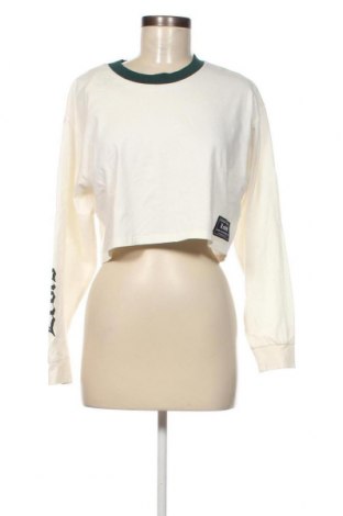 Damen Shirt Levi's, Größe XS, Farbe Ecru, Preis € 26,29