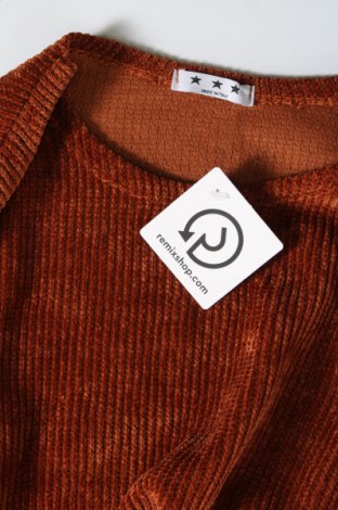 Γυναικεία μπλούζα Made In Italy, Μέγεθος XL, Χρώμα Καφέ, Τιμή 2,35 €