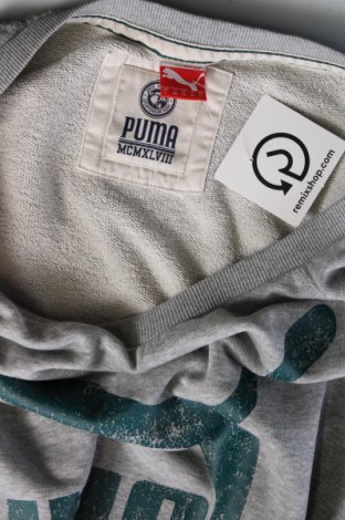 Γυναικεία μπλούζα PUMA, Μέγεθος M, Χρώμα Γκρί, Τιμή 12,23 €