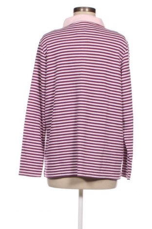 Γυναικεία μπλούζα Paola, Μέγεθος XL, Χρώμα Πολύχρωμο, Τιμή 3,88 €