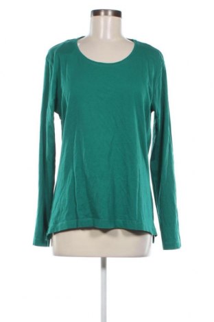 Γυναικεία μπλούζα Peckott, Μέγεθος XL, Χρώμα Πράσινο, Τιμή 7,05 €