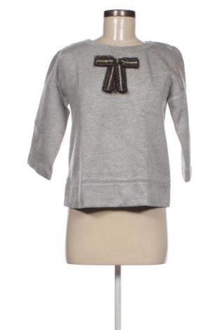 Γυναικεία μπλούζα Pinko, Μέγεθος S, Χρώμα Γκρί, Τιμή 108,76 €