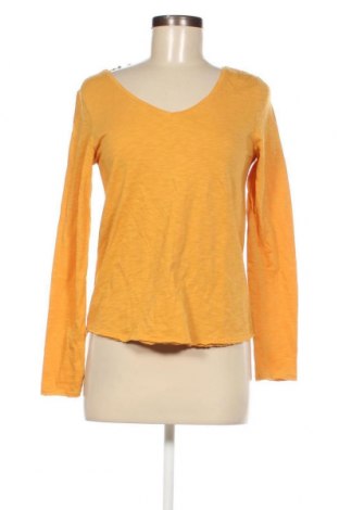 Γυναικεία μπλούζα S.Oliver, Μέγεθος XXS, Χρώμα Κίτρινο, Τιμή 2,23 €