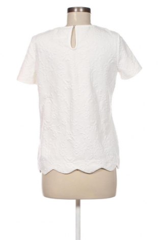 Damen Shirt Taifun, Größe S, Farbe Weiß, Preis 23,66 €