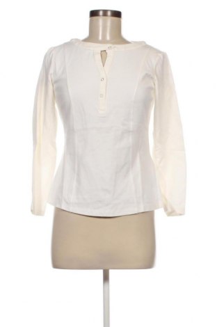 Γυναικεία μπλούζα Taifun, Μέγεθος M, Χρώμα Λευκό, Τιμή 16,82 €