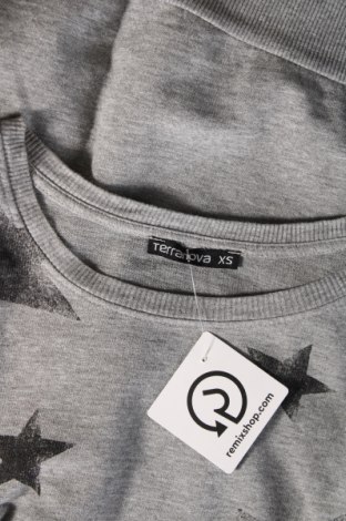 Damen Shirt Terranova, Größe XS, Farbe Grau, Preis 9,72 €