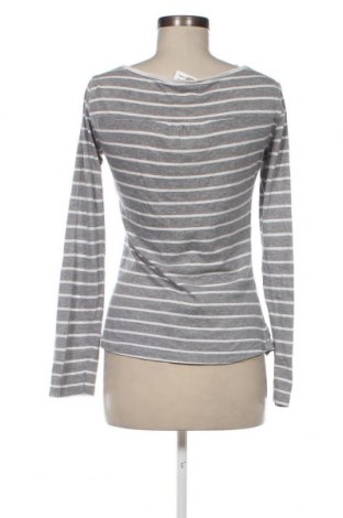 Γυναικεία μπλούζα Terranova, Μέγεθος M, Χρώμα Γκρί, Τιμή 1,75 €