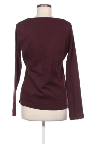 Γυναικεία μπλούζα Tommy Hilfiger, Μέγεθος XL, Χρώμα Κόκκινο, Τιμή 32,40 €