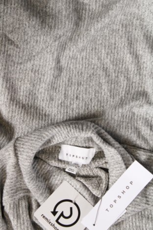Damen Shirt Topshop, Größe M, Farbe Grau, Preis € 3,71