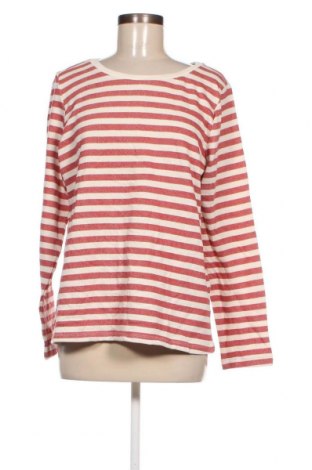 Γυναικεία μπλούζα Up 2 Fashion, Μέγεθος L, Χρώμα Πολύχρωμο, Τιμή 4,80 €