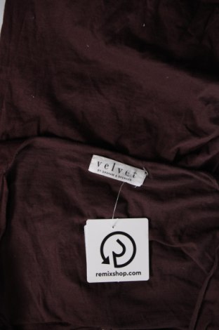 Damen Shirt Velvet by Graham & Spencer, Größe S, Farbe Braun, Preis 23,66 €