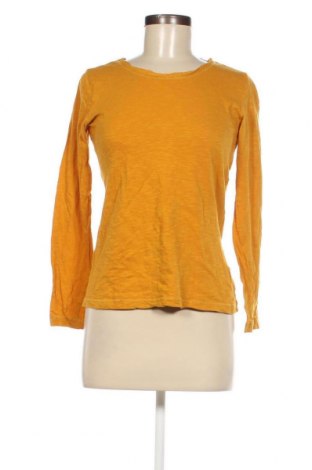 Γυναικεία μπλούζα Woman By Tchibo, Μέγεθος S, Χρώμα Κίτρινο, Τιμή 3,06 €