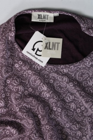 Damen Shirt Xlnt, Größe L, Farbe Lila, Preis 50,10 €