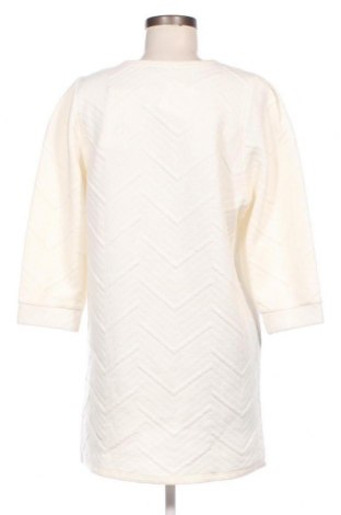 Damen Shirt Zara, Größe M, Farbe Ecru, Preis 37,58 €