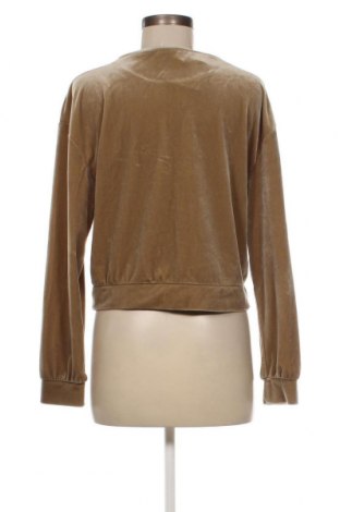Damen Shirt Zara, Größe S, Farbe Grün, Preis 3,34 €