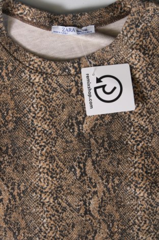 Bluză de femei Zara Trafaluc, Mărime S, Culoare Multicolor, Preț 17,27 Lei