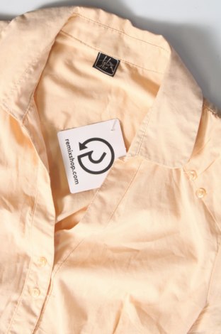 Γυναικείο πουκάμισο, Μέγεθος M, Χρώμα Πορτοκαλί, Τιμή 5,39 €