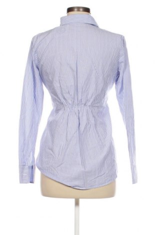 Γυναικείο πουκάμισο Ann Taylor, Μέγεθος XS, Χρώμα Μπλέ, Τιμή 9,91 €