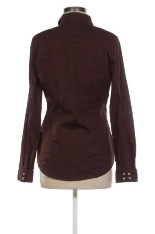 Dámska košeľa  Arizona, Veľkosť L, Farba Hnedá, Cena  3,69 €