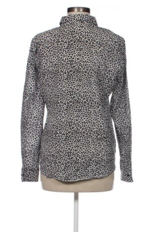 Γυναικείο πουκάμισο Erfo, Μέγεθος L, Χρώμα Πολύχρωμο, Τιμή 2,23 €
