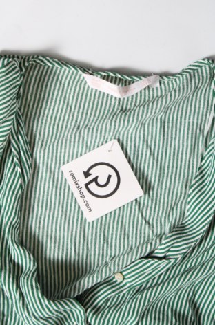 Γυναικείο πουκάμισο Zara Trafaluc, Μέγεθος M, Χρώμα Πολύχρωμο, Τιμή 4,60 €
