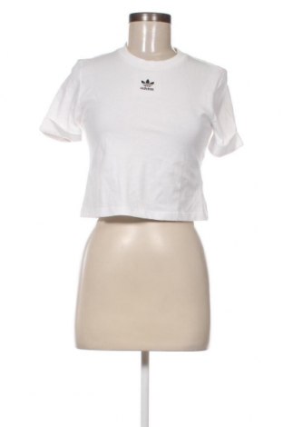 Damen T-Shirt Adidas Originals, Größe S, Farbe Weiß, Preis 29,90 €
