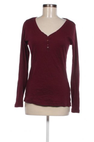 Γυναικείο t-shirt Chicoree, Μέγεθος XL, Χρώμα Ρόζ , Τιμή 11,75 €