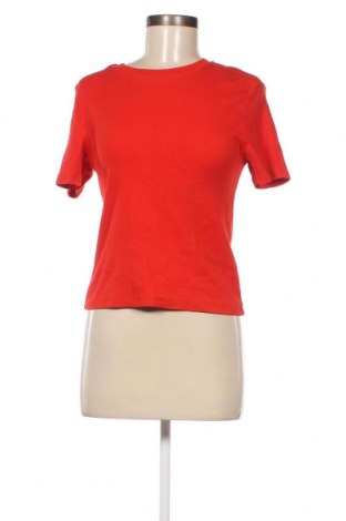 Γυναικείο t-shirt FSBN Sister, Μέγεθος XL, Χρώμα Κόκκινο, Τιμή 6,67 €