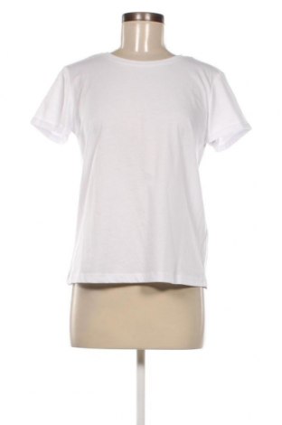 Damen T-Shirt Fracomina, Größe M, Farbe Weiß, Preis 25,42 €