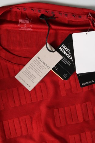 Γυναικείο t-shirt PUMA, Μέγεθος M, Χρώμα Κόκκινο, Τιμή 29,90 €