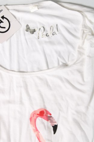 Γυναικείο t-shirt Paola, Μέγεθος XXL, Χρώμα Λευκό, Τιμή 8,04 €