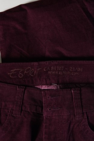 Дамски джинси Esprit, Размер M, Цвят Лилав, Цена 8,70 лв.