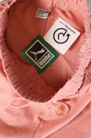 Γυναικείο κοντό παντελόνι PUMA, Μέγεθος XS, Χρώμα Ρόζ , Τιμή 31,91 €