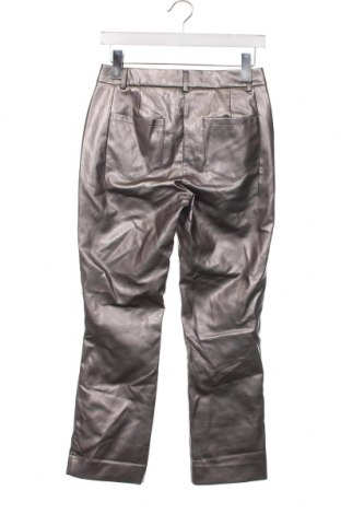 Pantaloni de piele pentru damă Ashley Brooke, Mărime XS, Culoare Argintiu, Preț 24,80 Lei