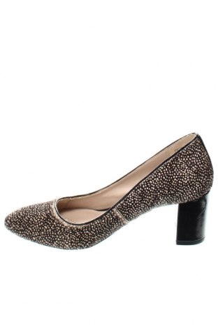 Дамски обувки Clarks, Размер 37, Цвят Многоцветен, Цена 108,30 лв.