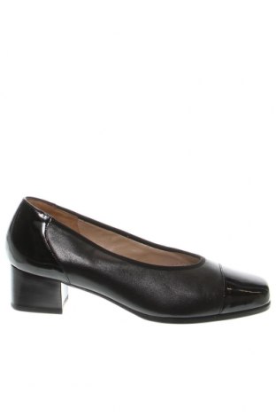 Дамски обувки HASSIA, Размер 38, Цвят Черен, Цена 43,43 лв.