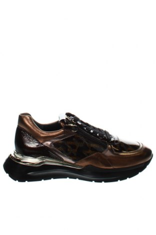 Γυναικεία παπούτσια Hogl, Μέγεθος 37, Χρώμα Πολύχρωμο, Τιμή 113,48 €