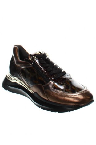 Γυναικεία παπούτσια Hogl, Μέγεθος 37, Χρώμα Πολύχρωμο, Τιμή 133,51 €
