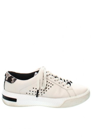 Γυναικεία παπούτσια MICHAEL Michael Kors, Μέγεθος 39, Χρώμα Εκρού, Τιμή 62,00 €