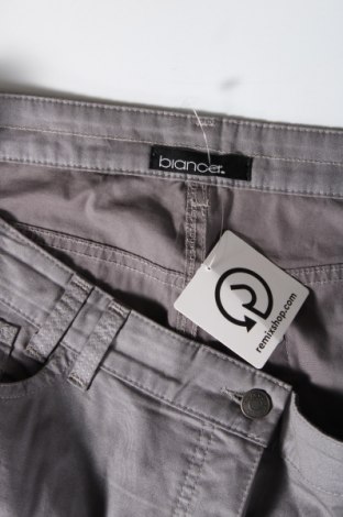 Pantaloni de femei Bianca, Mărime XL, Culoare Gri, Preț 95,39 Lei