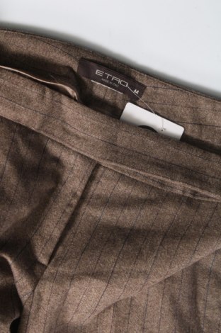 Pantaloni de femei Etro, Mărime M, Culoare Maro, Preț 80,48 Lei