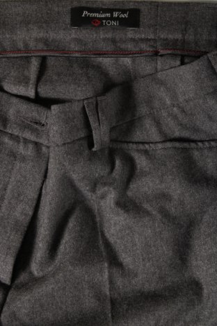 Γυναικείο παντελόνι Toni, Μέγεθος L, Χρώμα Γκρί, Τιμή 2,69 €