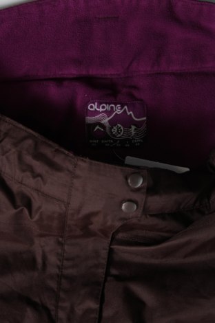Pantaloni de damă pentru sporturi de iarnă, Mărime M, Culoare Maro, Preț 86,35 Lei